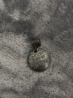 Never Never Give Up Silver Medallion Round Tag Clip Charm Pendant boho thumbnail 2