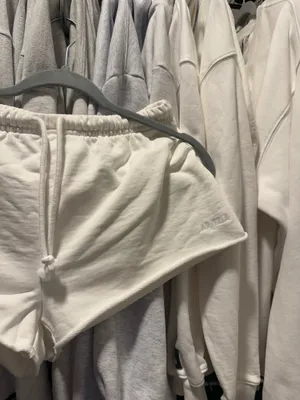 Aritzia Shorts thumbnail 3