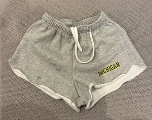 Gray dolphin shorts with Michigan logo Size undefined thumbnail 1