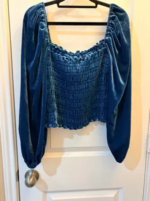 Anthropologie by Anthropologie Velvet Smocked Long Sleeve Crop Top thumbnail 4