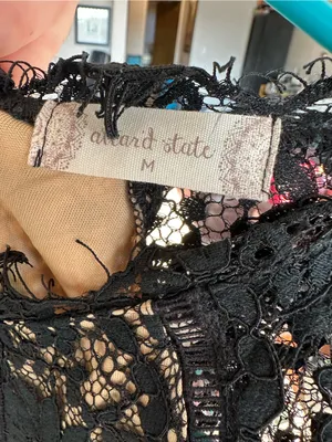 Altar'd State Black Lace Overlay Dress with Nude Lining thumbnail 4