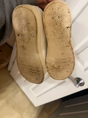 Sneakers White Size 8 thumbnail 4