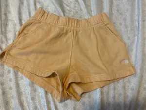 the north face shorts sweat shorts  thumbnail 1