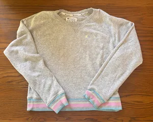Gray Champion Sweatshirt  thumbnail 1