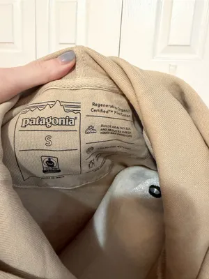 Patagonia Regenerative Organic Certified™ Cotton Hoody Sweatshirt Tan Size Small thumbnail 4