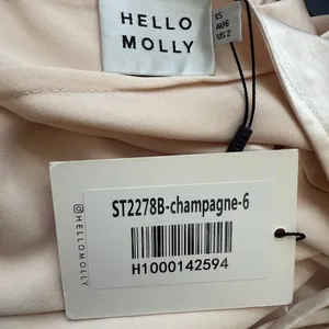 Hello Molly Expressed Permission Mini Dress Women's XS 2 Champagne Satin NWT thumbnail 16