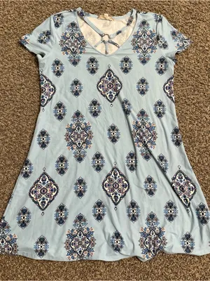 Pink Rose Light Blue Printed Mini Dress with Navy and White Medallions thumbnail 1