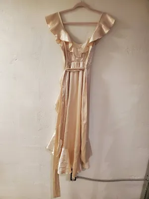 Birdy Grey James Satin Midi Dress in Champagne Small thumbnail 3