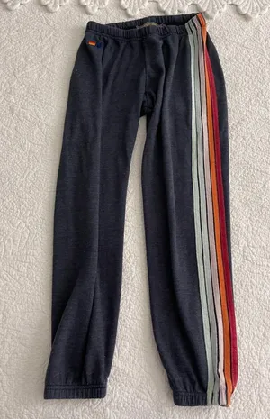 Aviator Nation Sweatpants thumbnail 4
