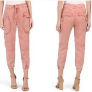 Young Fabulous & Broke Clyde Tencel Cargo Pants Small Blue Grey Cropped thumbnail 2