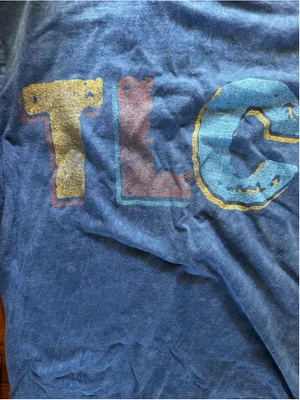 Vintage TLC Crazy Sexy Cool Graphic T-Shirt Blue Mineral Wash Band Tee Small thumbnail 4