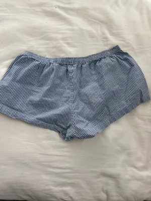 Brandy Melville blue and white gingham shorts thumbnail 3