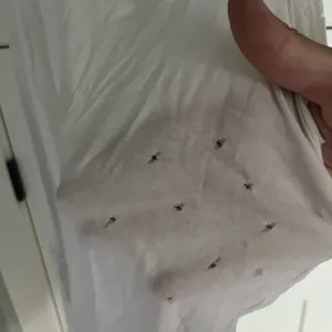 american eagle tank top thumbnail 2