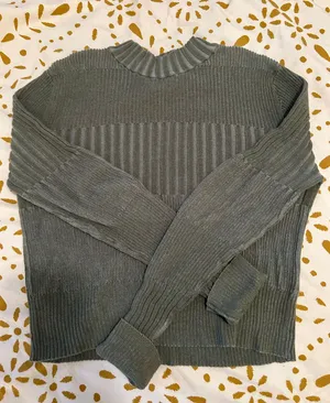 American Eagle Outfitters Sweater thumbnail 1