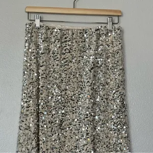 NWT Old Navy Champagne Silver Sequin A-line Lined Maxi Skirt Size Medium thumbnail 3