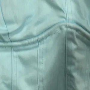 NWT tiger mist tigermist lace trim corset boning detail crop tank top cyan xs thumbnail 4