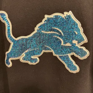 National Football League Detroit Lions sweatshirt! black sequin bedazzled logo crewneck size medium! thumbnail 2