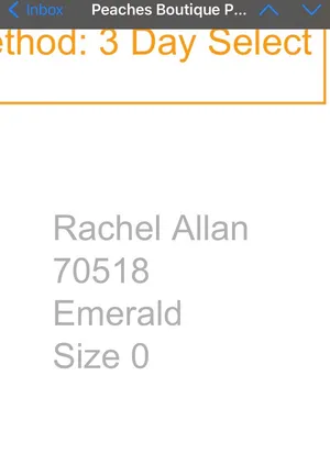 Rachel Allan Prom Dress thumbnail 6