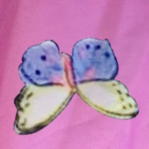 FINAL MARKDOWN Ladies’ Butterfly Dress (S) thumbnail 5