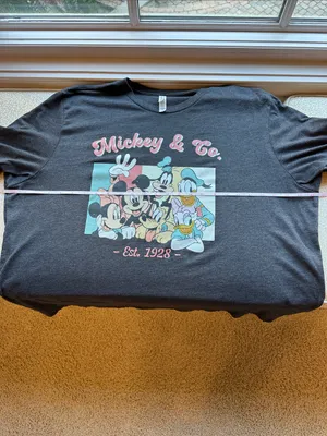 Mickey & Co Gray Disney Graphic Tee Shirt by Bella-Canvas size 3XL thumbnail 8