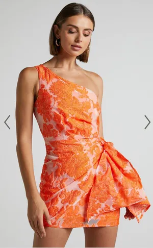 Showpo Dress thumbnail 1