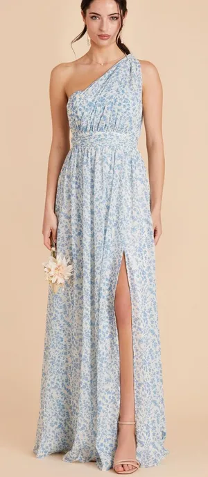 NWT Birdy Grey Women’s Grace Chiffon Maxi Dress with Slit Blue Dreamy Ditsy XXL thumbnail 1