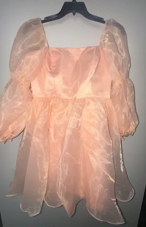 Babydoll Puff Sleeve Organza Dress thumbnail 1