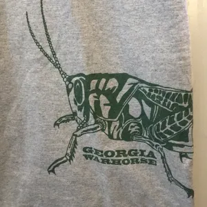 FINAL MARKDOWN Unisex anvil Georgia warhorse tee medium thumbnail 2