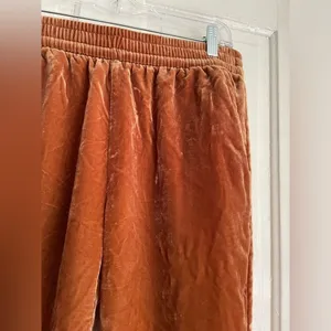 Madewell Track Pants‎ in Brown Velvet with Pockets thumbnail 5