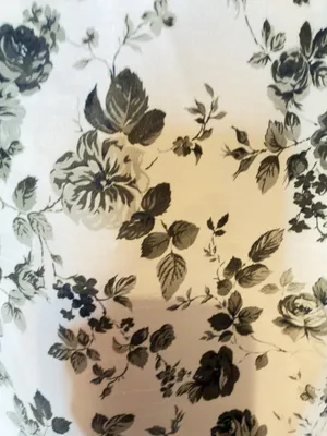 TUCKERNUCK Faded Roses Bouvier Blouse Size Medium thumbnail 9