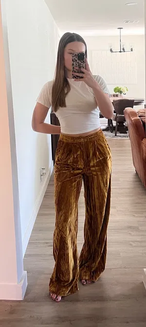 Free People Velvet Pants thumbnail 1