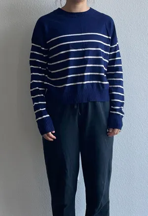 Z Supply Blue & White Striped Sweater thumbnail 1