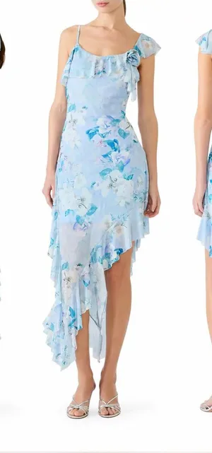 NWT Steve Madden Sorellia Floral Asymmetrical Ruffle Dress M $79 thumbnail 1
