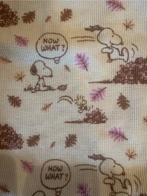American Eagle x Peanuts Snoopy Fall Autumn Plush Lounge PJ Set Size XS SOLD OUT thumbnail 4