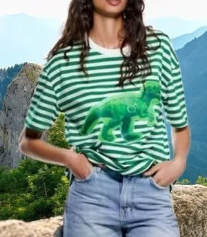 NEW Zara Dinosaur and Stripe Tee Novelty Comfort Fun Quirky Camp L thumbnail 1