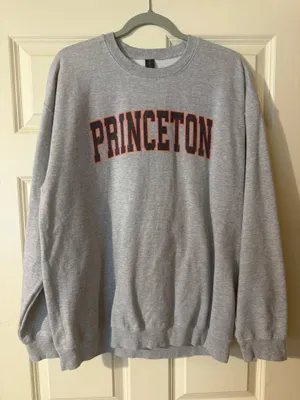 Gildan Princeton Crewneck thumbnail 1