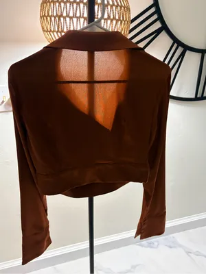 SHEIN Brown Draped Cowl Neck Long Sleeve Blouse thumbnail 4