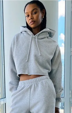 ARITZIA Tna Crop Fleece Gray Hoodie Sweatshirt Pullover Top thumbnail 1
