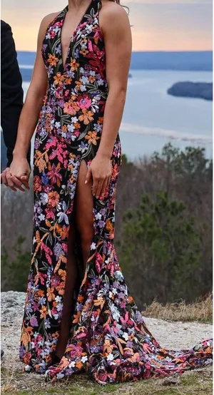 Prom Dress Multiple Size 4 thumbnail 1