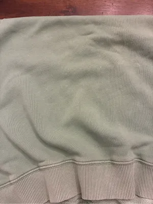 Aerie Crewneck Sweatshirt Medium Graphic River Valley Green tiny stains thumbnail 4