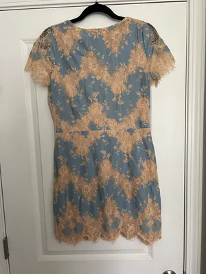 Lace Mini Dress thumbnail 3