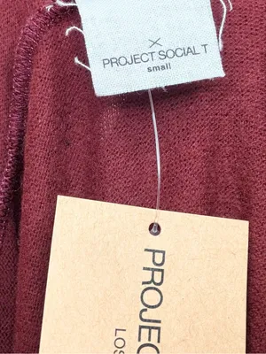 New Project Social T Burgundy Hoodie thumbnail 6