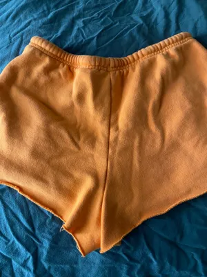 PacSun Shorts thumbnail 2