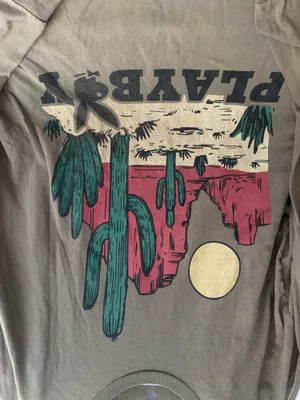 PLAYBOY Desert Cactus Graphic Long Sleeve Tee - Tan, Green, Red, Yellow thumbnail 2