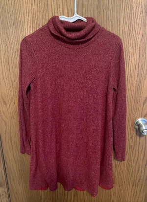 Lulus Turtle Neck Sweater Dress thumbnail 1