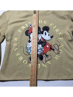 Disney Mickey Mouse Friends Forever Taupe Graphic Sweatshirt thumbnail 5