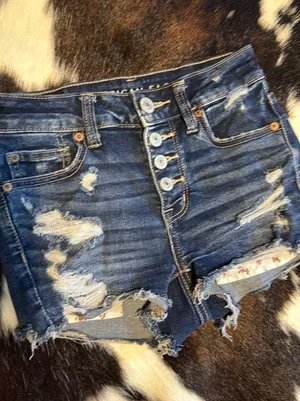 American Eagle Shorts thumbnail 1