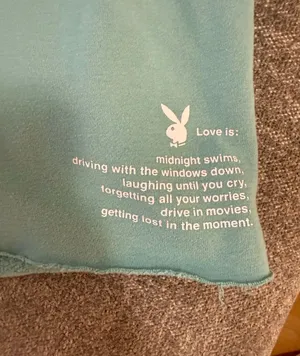 Playboy Bunny PacSun Shorts thumbnail 2
