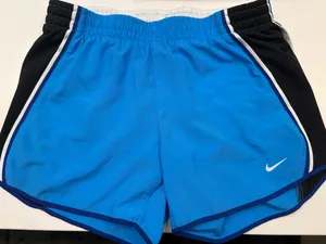 Nike Dri-Fit Shorts Running thumbnail 1