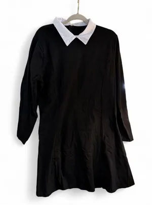 NEW Adam’s Family Wednesday Halloween Costumes Dress & Wig thumbnail 1